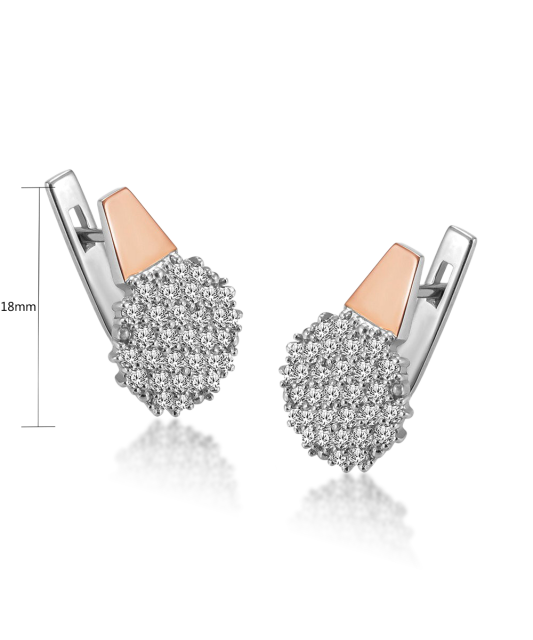 Sidabriniai auskarai su cirkoniais dengti auksu  - Goldinga