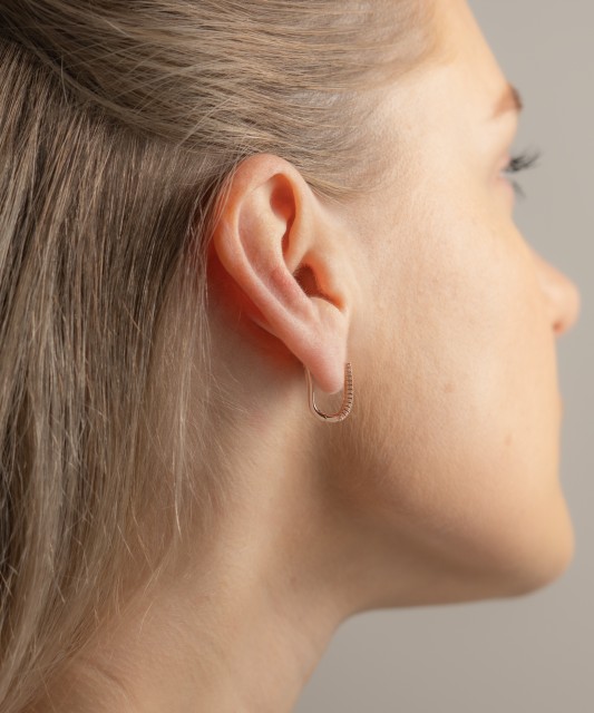 Auksiniai auskarai su cirkoniais