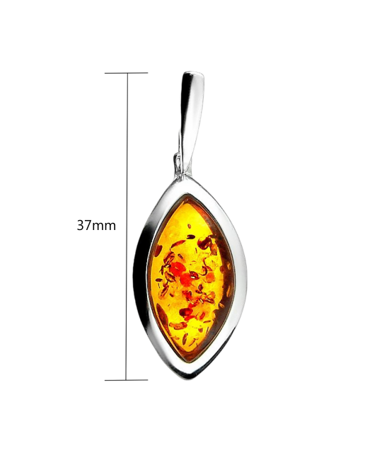 Sidabrinis pakabukas su gintaru  - Goldinga