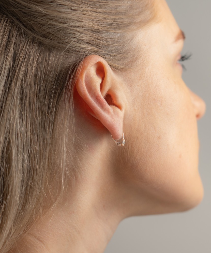 Auksiniai auskarai su cirkoniais - Auksiniai auskarai - Goldinga