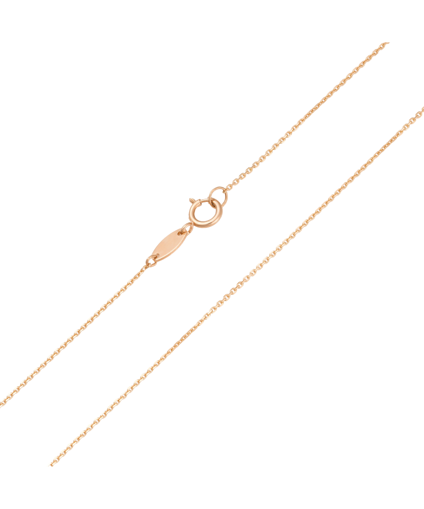 Auksinė grandinėlė "Anchor"