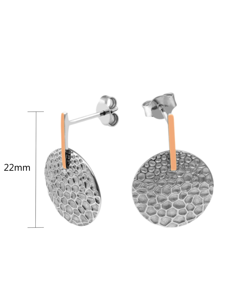 Sidabriniai auskarai dengti auksu - Sidabriniai auskarai - Goldinga