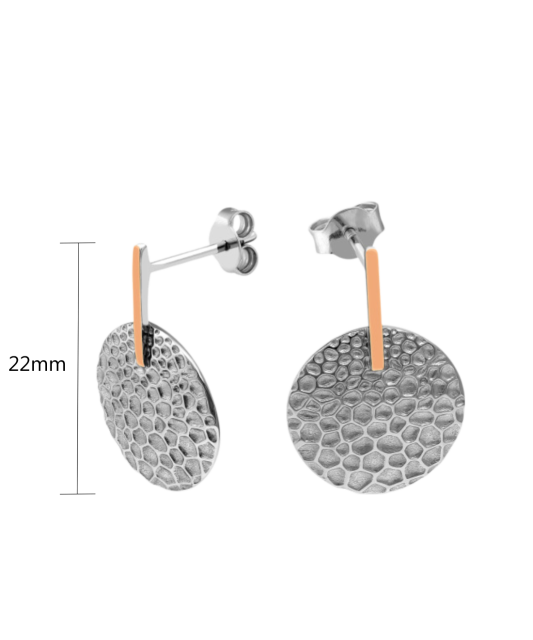 Sidabriniai auskarai dengti auksu - Sidabriniai auskarai - Goldinga