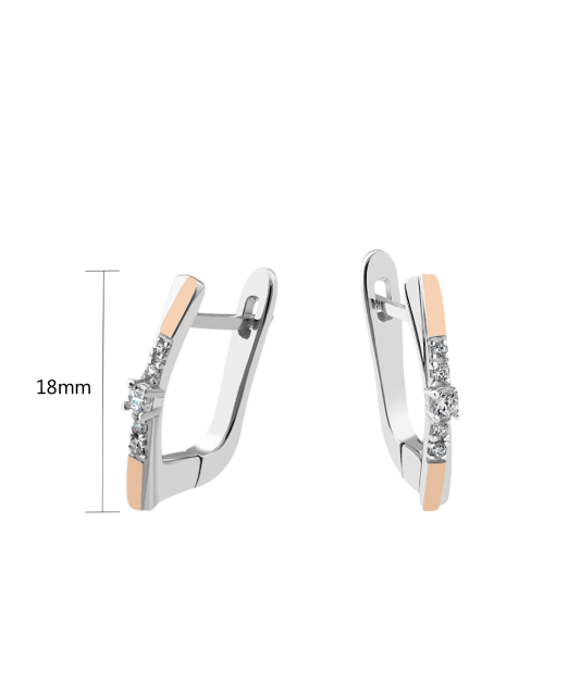 Sidabriniai auskarai dengti auksu su cirkoniais - Sidabriniai auskarai - Goldinga