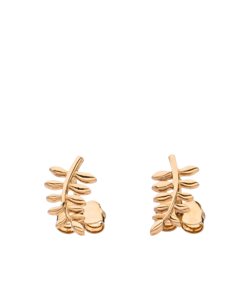 Auksiniai auskarai  - Goldinga