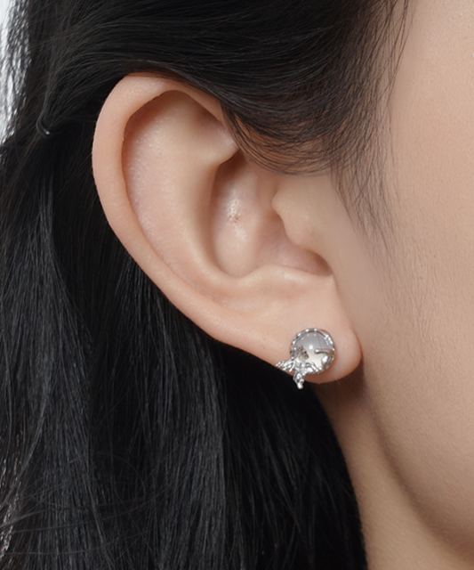 Sidabriniai auskarai