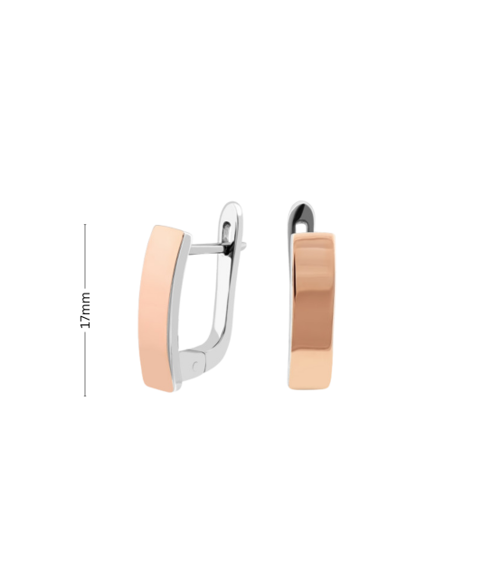 Sidabriniai auskarai dengti auksu