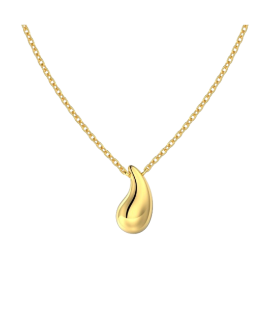 Paauksuota sidabrinė grandinėlė su  pakabuku