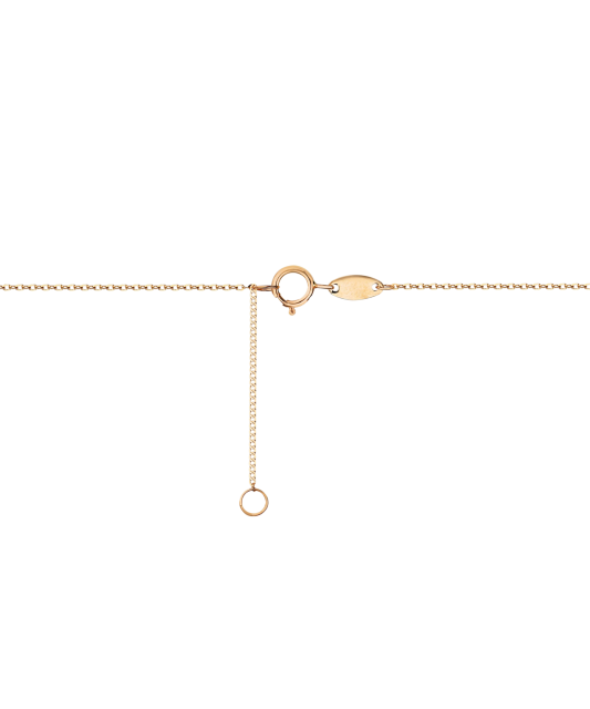 Auksinė grandinėlė su cirkonio pakabuku  - Goldinga