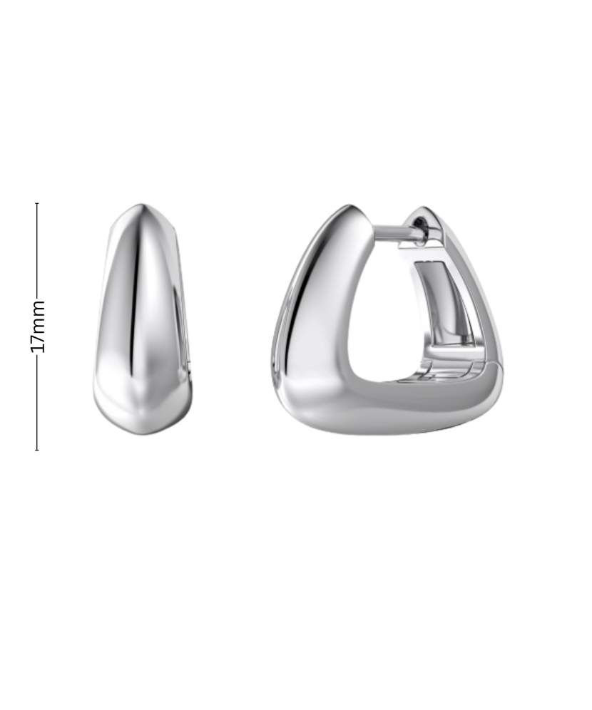 Sidabriniai auskarai