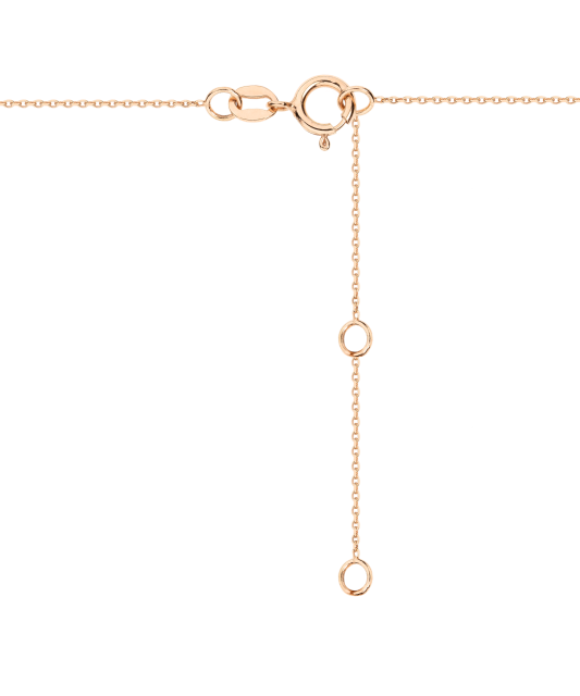 Auksinė grandinėlė su pakabuku