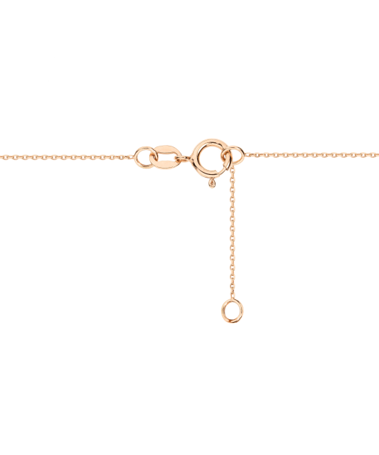 Auksinė grandinėlė su pakabuku