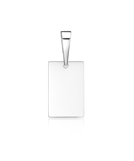 Sidabrinis pakabukas "Plokštelė"