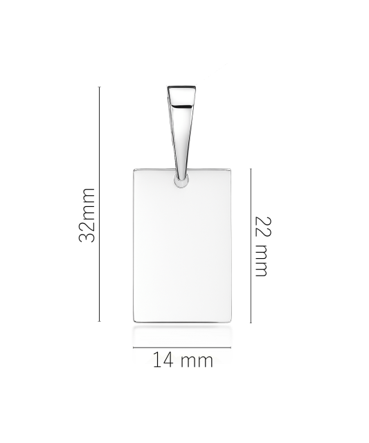 Sidabrinis pakabukas "Plokštelė"