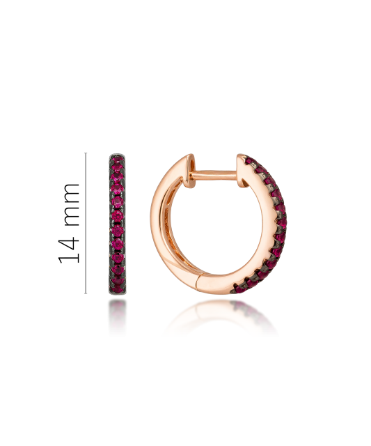 Paauksuoti Sidabriniai auskarai su nano rubinais