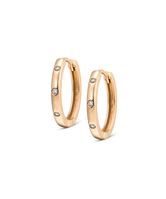 Auksiniai auskarai su cirkoniais