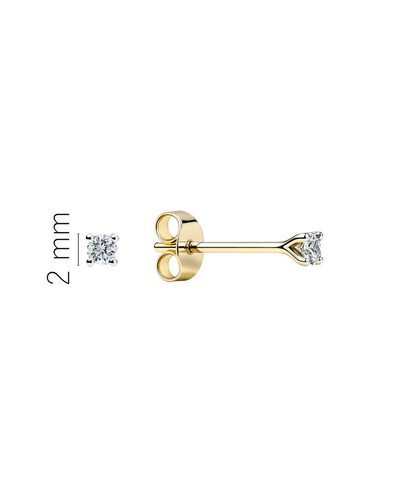 Geltonos aukso auskarai su deimantais 0,05ct