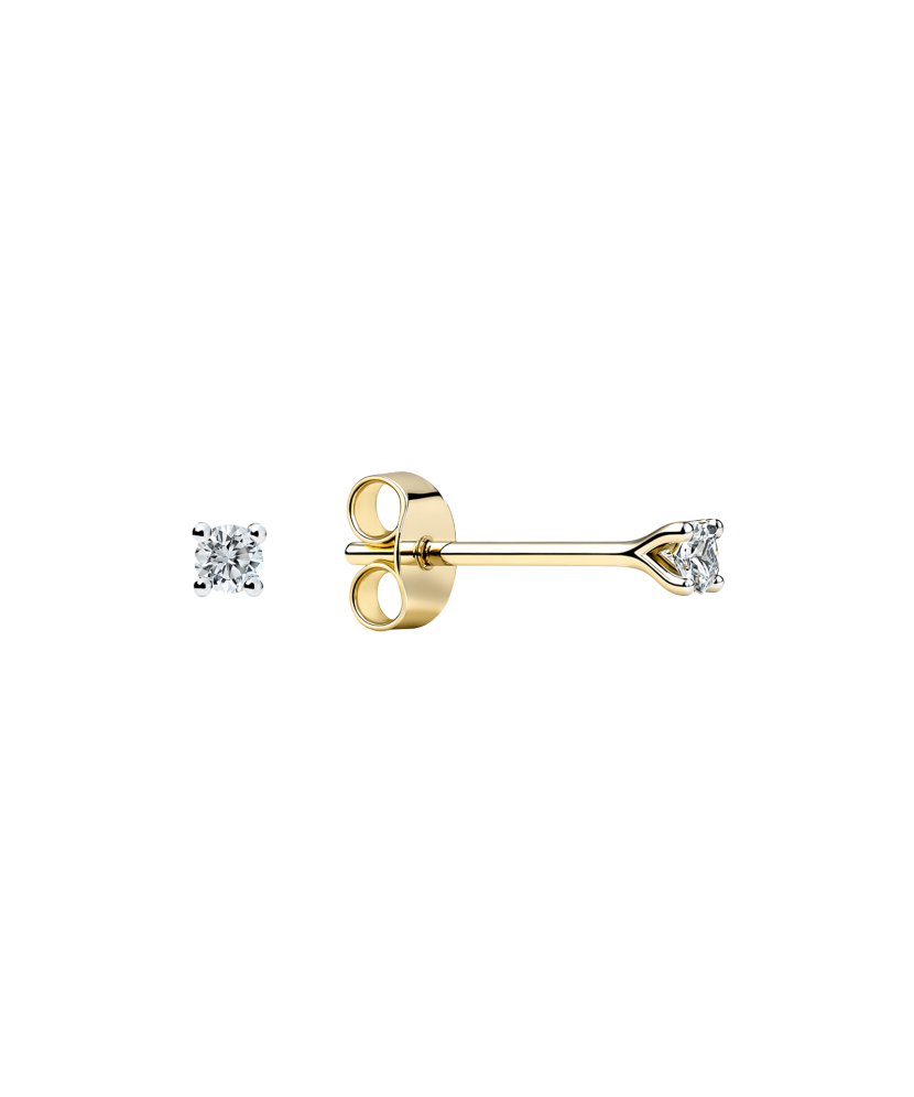Geltonos aukso auskarai su deimantais 0,11ct