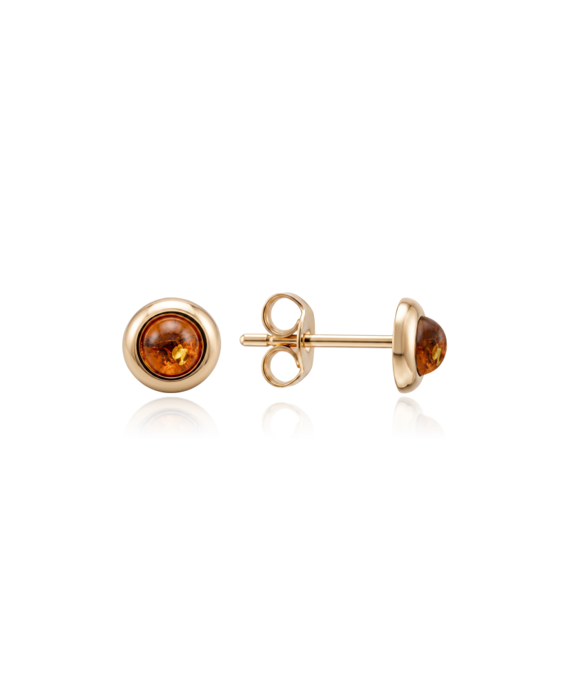 Auksiniai auskarai su gintaru